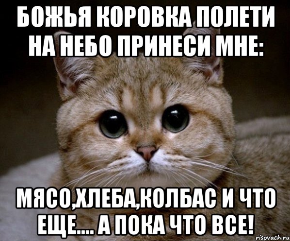 божья коровка полети на небо принеси мне: мясо,хлеба,колбас и что еще.... а пока что все!, Мем Пидрила Ебаная