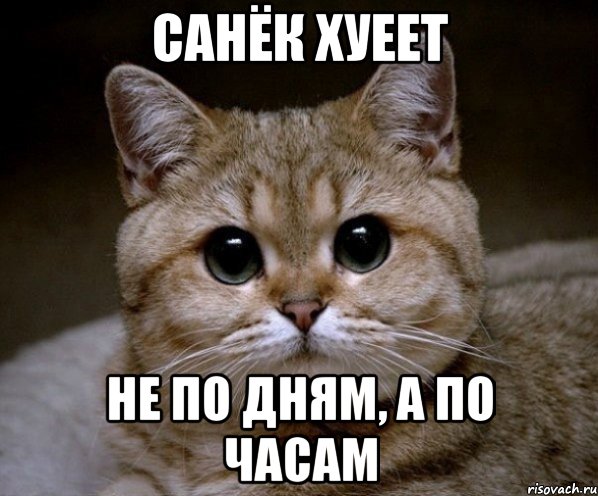 Санёк хуеет не по дням, а по часам