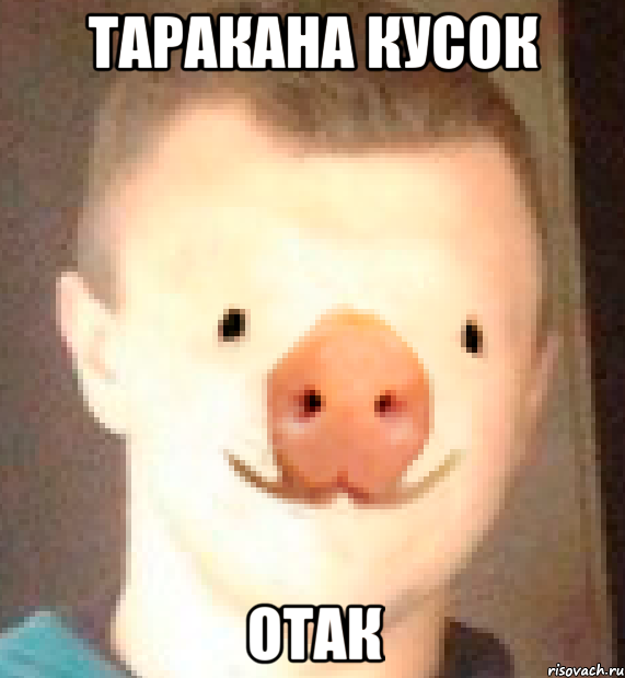 ТАРАКАНА КУСОК отак