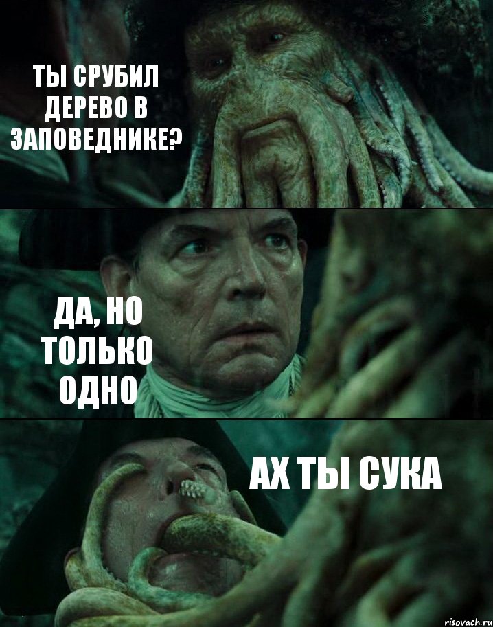 ТЫ СРУБИЛ ДЕРЕВО В ЗАПОВЕДНИКЕ? ДА, НО ТОЛЬКО ОДНО АХ ТЫ СУКА, Комикс Пираты Карибского моря