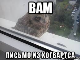 вам письмо из хогвартса