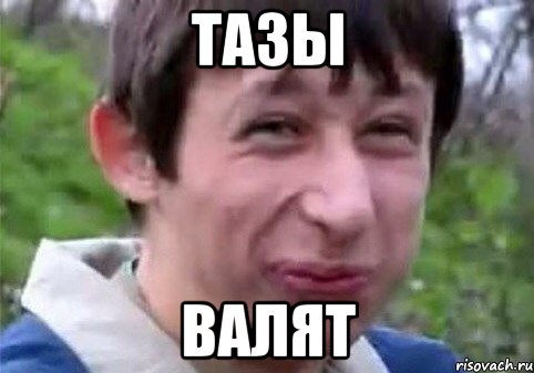 ТАЗЫ ВАЛЯТ