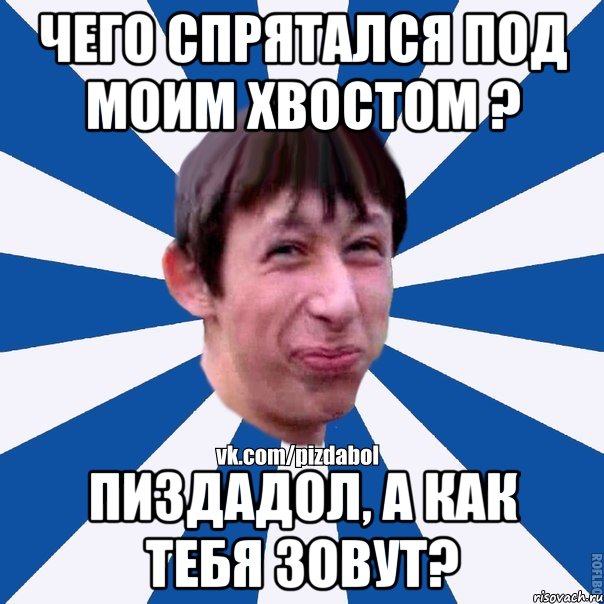 Чего спрятался под моим хвостом ? Пиздадол, а как тебя зовут?, Мем Пиздабол типичный вк