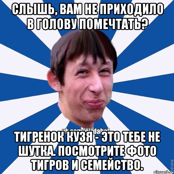 Слышь, вам не приходило в голову помечтать? Тигренок Кузя - это тебе не шутка. Посмотрите фото тигров и семейство., Мем Пиздабол типичный вк