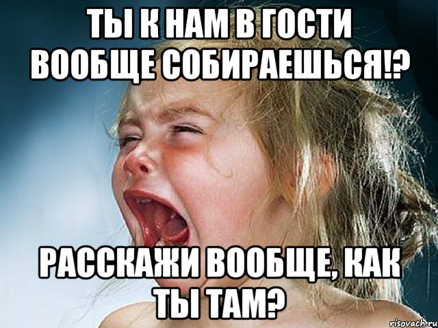 Ты к нам в гости вообще собираешься!? Расскажи вообще, как ты там?