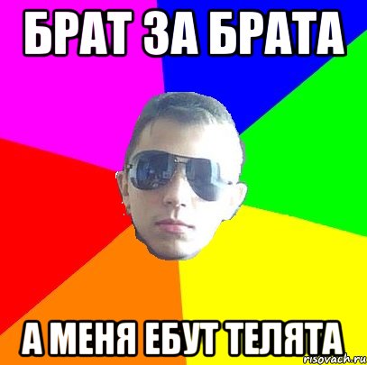 Брат за брата А меня ебут телята