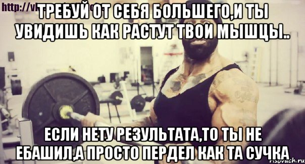 требуй от себя большего,и ты увидишь как растут твои мышцы.. если нету результата,то ты не ебашил,а просто пердел как та сучка