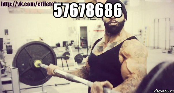 57678686 