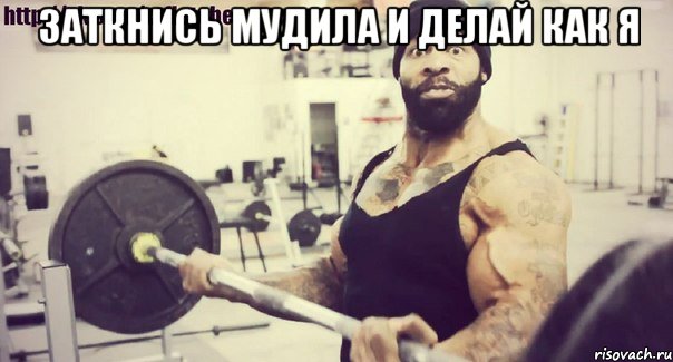 заткнись мудила и делай как я , Мем Плюшевая борода