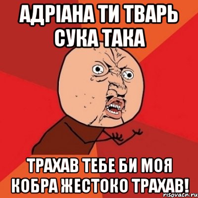 Адріана ти тварь сука така Трахав тебе би моя кобра жестоко трахав!, Мем Почему