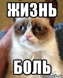 жизнь боль, Мем почти соблазнил