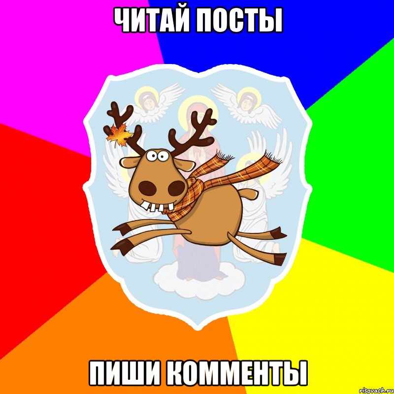 Читай посты пиши комменты
