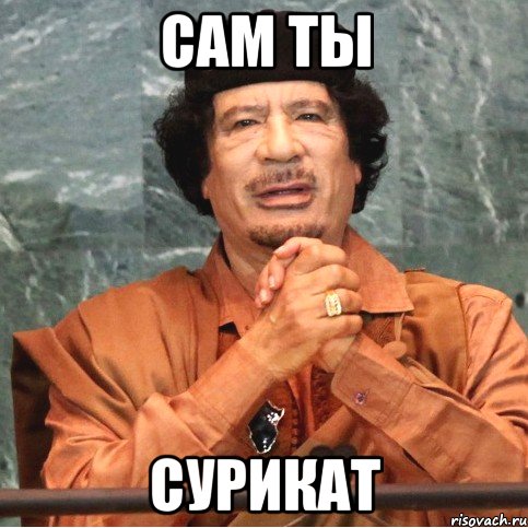 Сам ты Сурикат