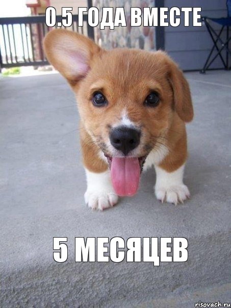 0.5 года вместе 5 месяцев