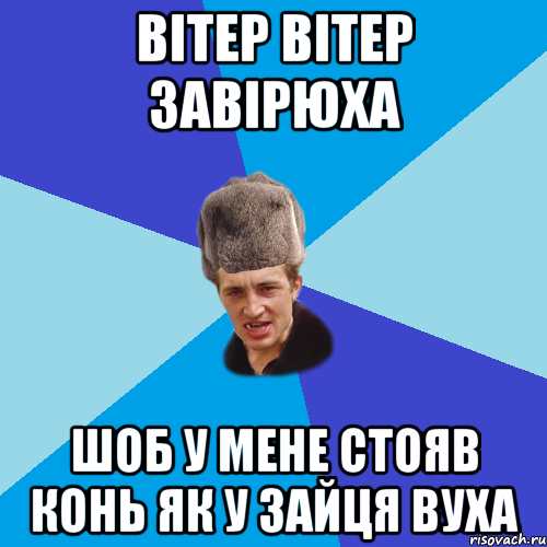 вітер вітер завірюха шоб у мене стояв конь як у зайця вуха, Мем Празднчний паца