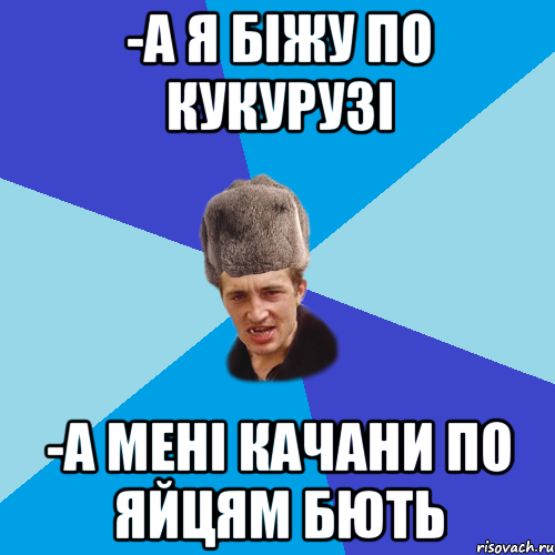 -А Я БІЖУ ПО КУКУРУЗІ -А МЕНІ КАЧАНИ ПО ЯЙЦЯМ БЮТЬ, Мем Празднчний паца