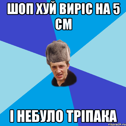 шоп хуй виріс на 5 см і небуло тріпака, Мем Празднчний паца