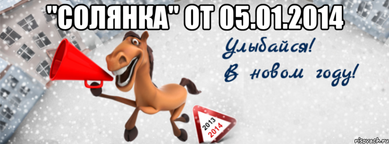 "солянка" от 05.01.2014 