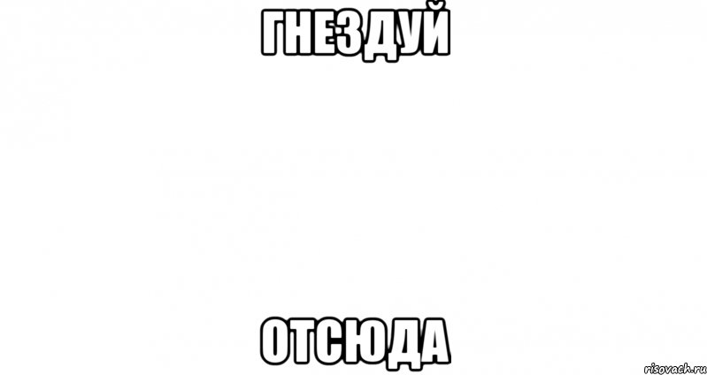 Гнездуй Отсюда