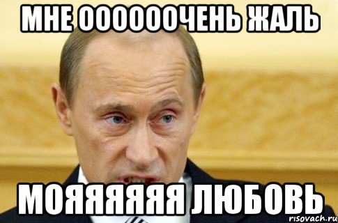 мне оооооочень жаль мояяяяяя любовь, Мем путин