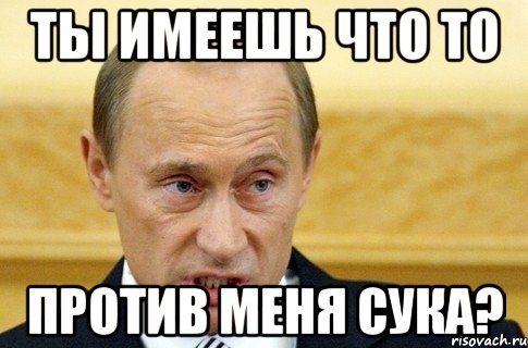 Ты имеешь что то Против меня сука?, Мем путин