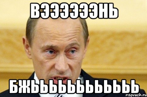 ВЭЭЭЭЭЭНЬ БЖЬЬЬЬЬЬЬЬЬЬЬЬ, Мем путин