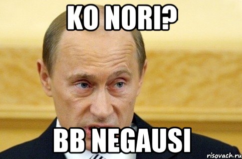 KO NORI? BB NEGAUSI, Мем путин