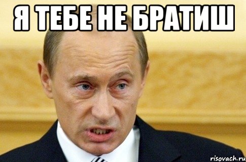 я тебе не братиш , Мем путин