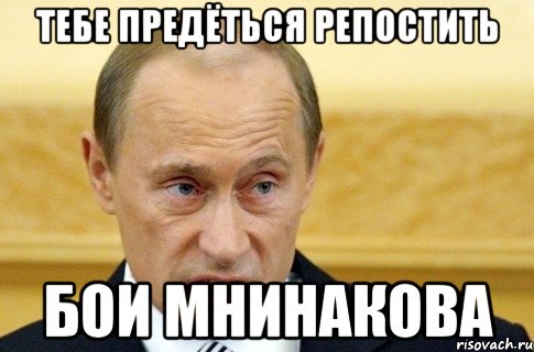 тебе предёться репостить бои мнинакова, Мем путин