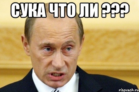 Сука что ли ??? , Мем путин