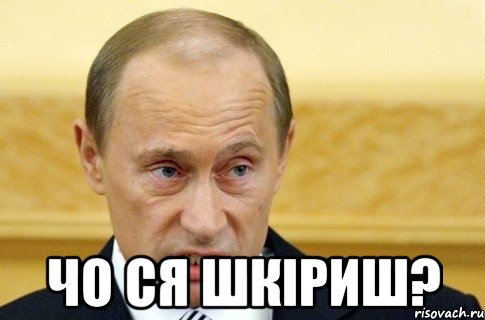  чо ся шкіриш?, Мем путин