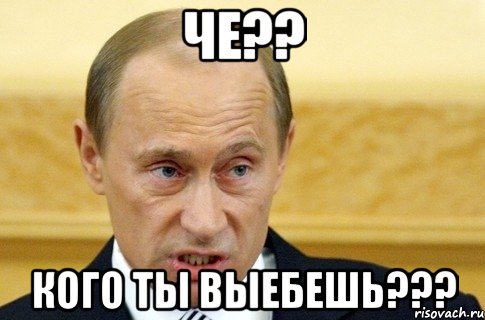 ЧЕ?? КОГО ТЫ ВЫЕБЕШЬ???, Мем путин