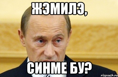 Жэмилэ, синме бу?, Мем путин