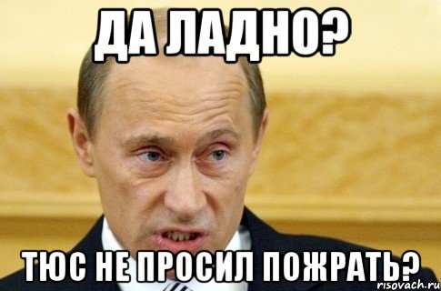 Да ладно? Тюс не просил пожрать?, Мем путин