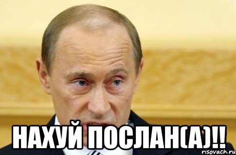  нахуй послан(а)!!, Мем путин