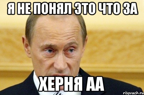 я не понял это что за херня аа, Мем путин