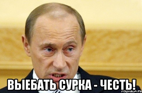  ВЫЕБАТЬ СУРКА - ЧЕСТЬ!, Мем путин