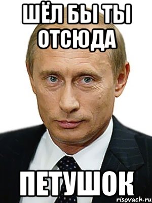 ШЁЛ БЫ ТЫ ОТСЮДА ПЕТУШОК, Мем Путин