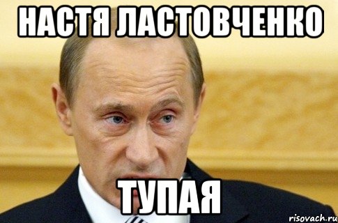 Настя Ластовченко Тупая, Мем путин