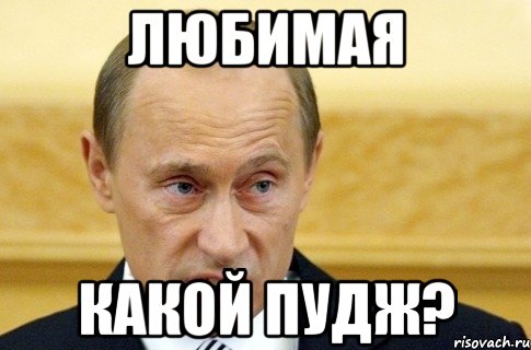 любимая какой пудж?, Мем путин