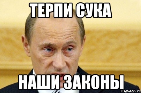 терпи сука наши законы, Мем путин