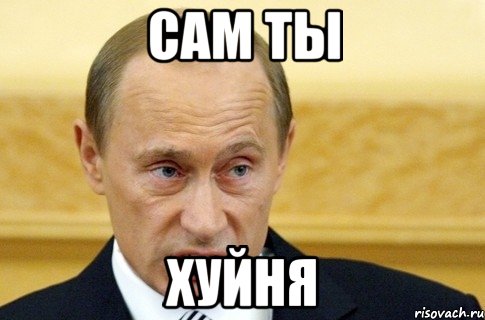 Сам ты хуйня, Мем путин