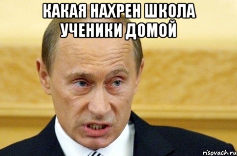 какая нахрен школа ученики домой , Мем путин