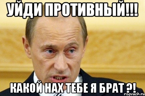 уйди противный!!! какой нах тебе я брат ?!, Мем путин