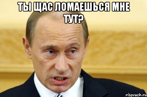 Ты щас ломаешься мне тут? , Мем путин