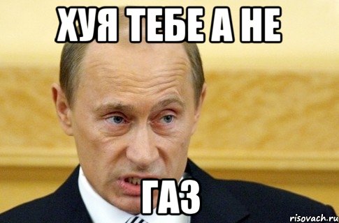 хуя тебе а не газ, Мем путин