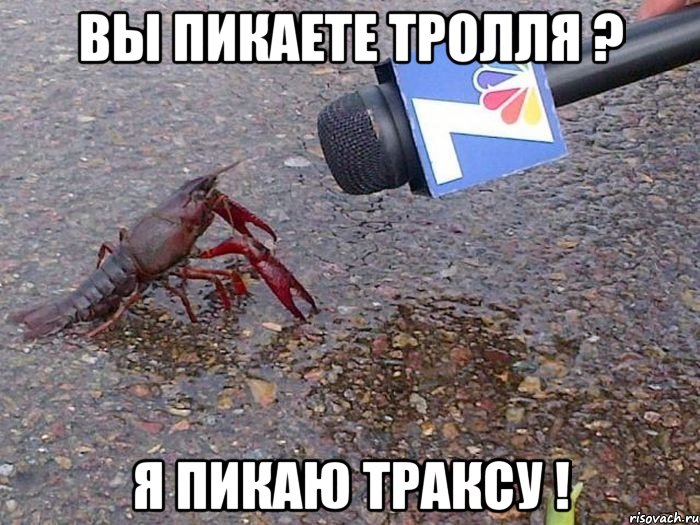 Вы пикаете тролля ? Я пикаю траксу !