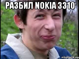 Разбил Nokia 3310 