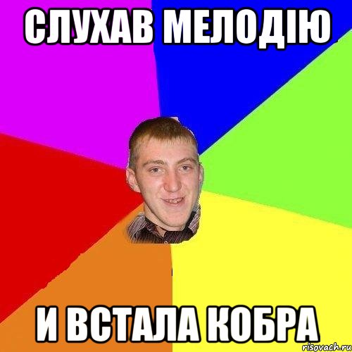 Слухав мелодію и встала кобра