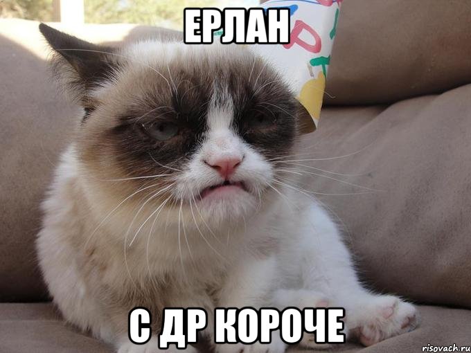 ерлан с др короче, Мем С ДР КРОЧ